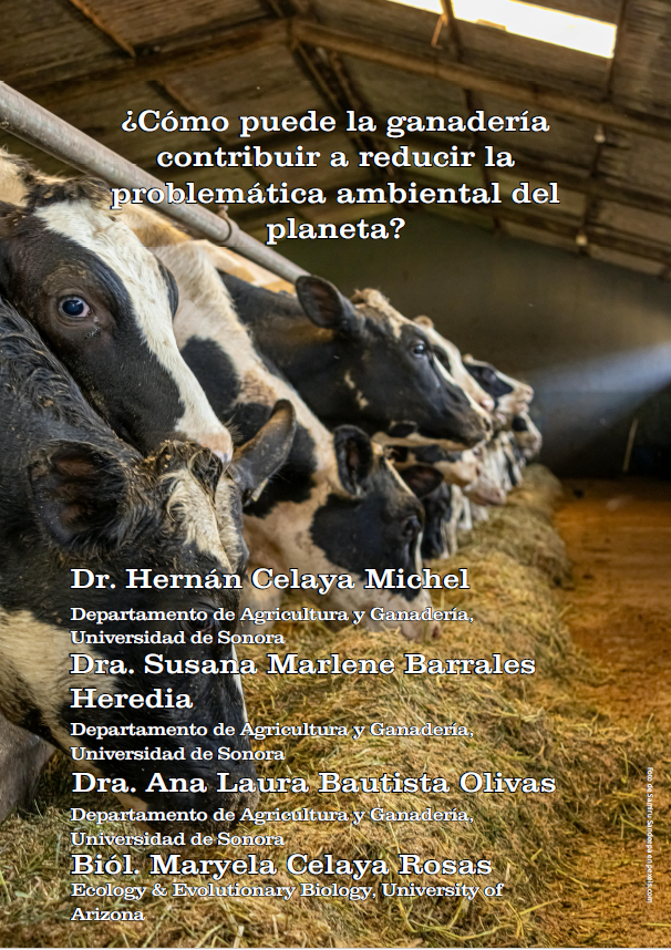 Imagen de portada