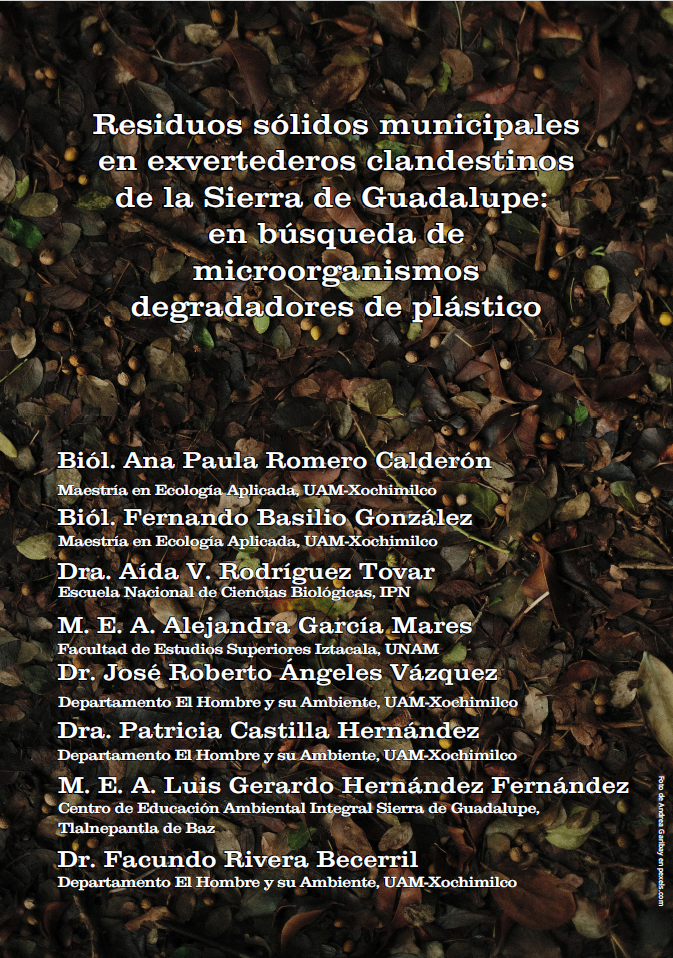 Imagen de portada